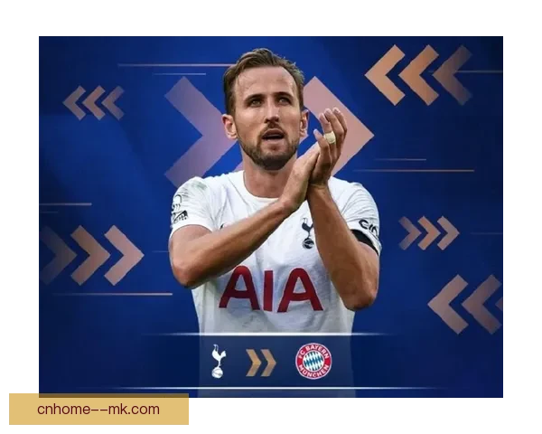 拜仁慕尼黑计划在夏季转会窗口引进热刺防线老将提升防守实力