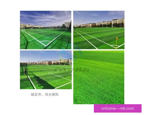 2026世界杯决赛场地纽约新泽西体育场草坪改造以符合FIFA标准